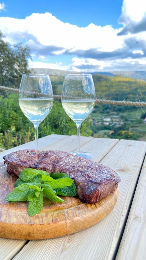 Vakantieboerderij Private Douro- Quinta Susandas *